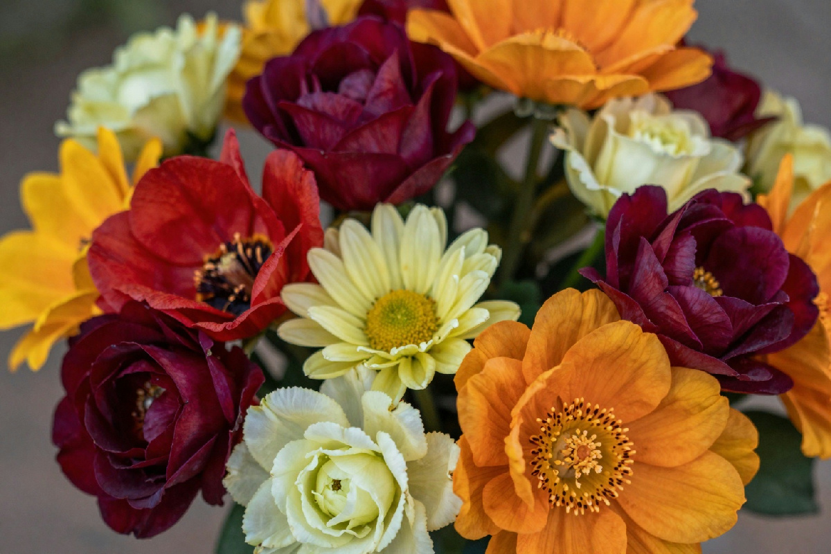 Fiori di stagione per San Valentino: la scelta consapevole che fa la differenza nel tuo amore