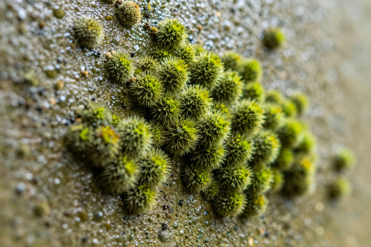 Muffa in casa senza finestre e ventilazione? Ecco i trucchi per evitarla questo inverno